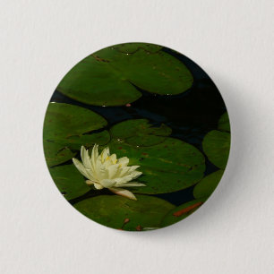 White Waterlily I Peaceful Floral Photography 6 Cm Round Badge