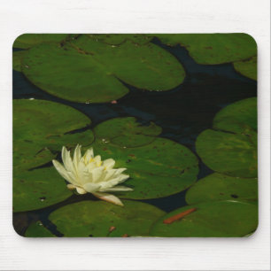 White Waterlily I Peaceful Floral Photography Mouse Pad