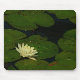 White Waterlily I Peaceful Floral Photography Mouse Pad