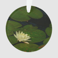 White Waterlily I Peaceful Floral Photography