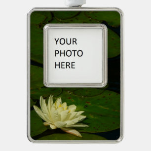 White Waterlily I Peaceful Floral Photography Silver Plated Framed Ornament