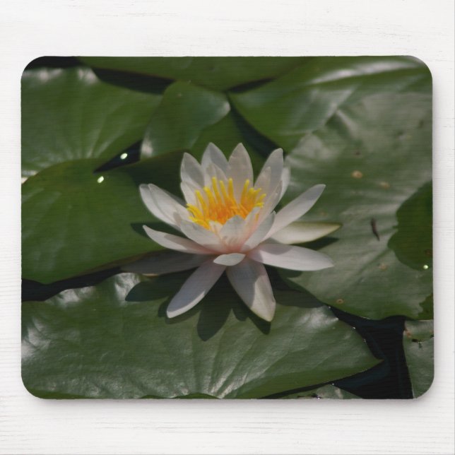 White Waterlily Mousepad (Front)