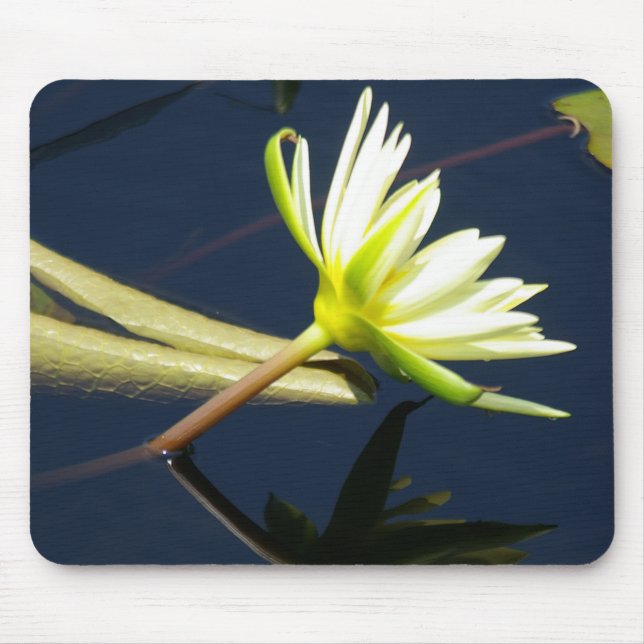 white waterlily mousepad (Front)