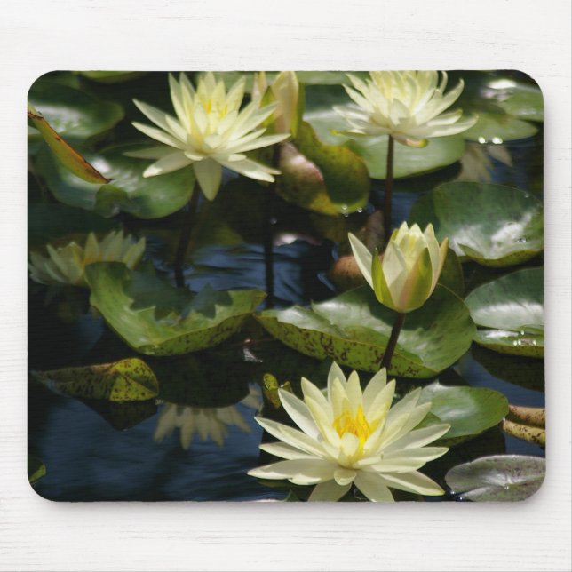 white waterlily mousepad (Front)