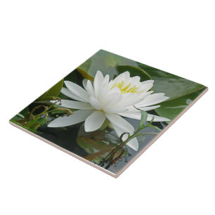 White Waterlily Wildflower Tile