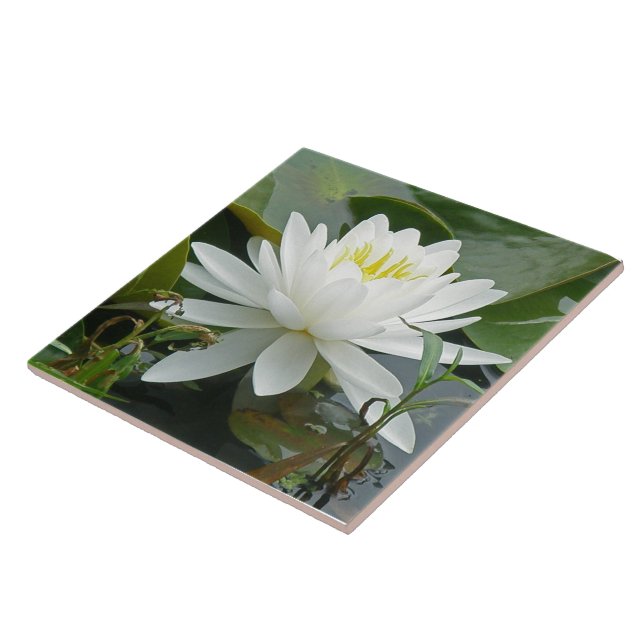 White Waterlily Wildflower Tile (Side)