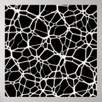 White Web Texture + your bachgr. & ideas