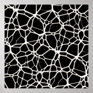 White Web Texture + your bachgr. & ideas Poster