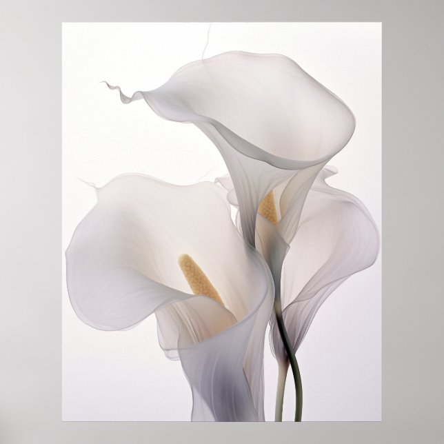 White Wedding Calla Lily White Background Poster (Front)