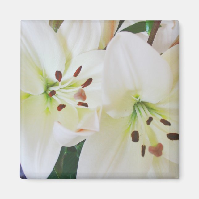 White Wedding Flowers Save the Date Fridge Magnets (Front)