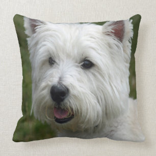 WHiTE WeST HiGHLaND TeRRiER Cushion