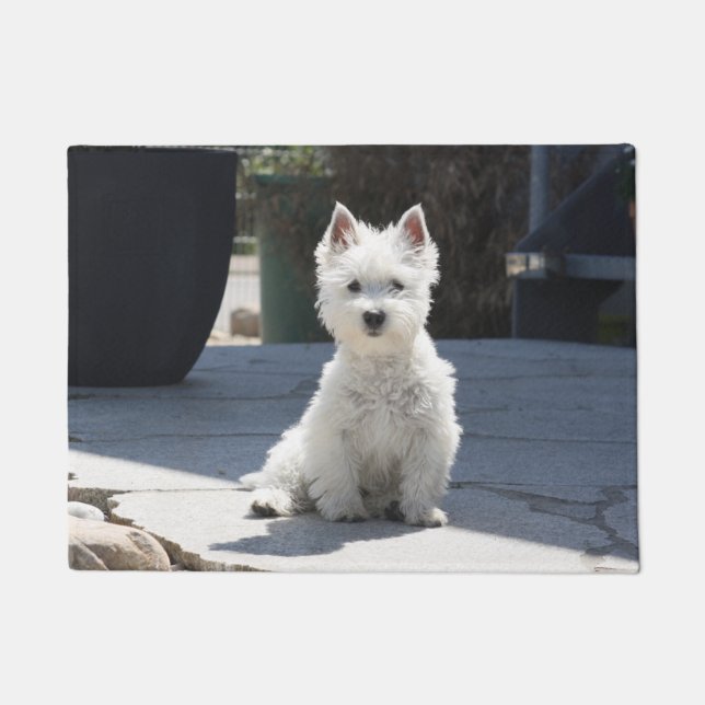 White West Highland Terrier Sitting on Sidewalk Doormat (Front)