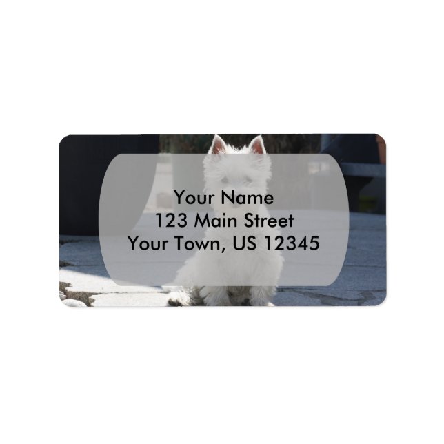 White West Highland Terrier Sitting on Sidewalk Label (Front)