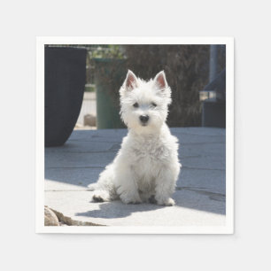 White West Highland Terrier Sitting on Sidewalk Napkin