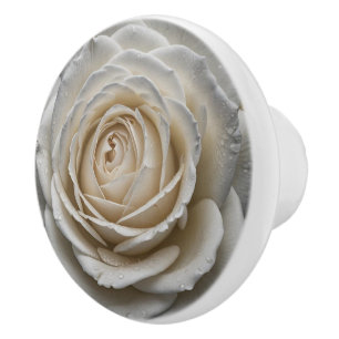 White wet rose close up design ceramic knob