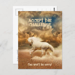 White Wild Horse Crossing the Desert - Collectable Postcard