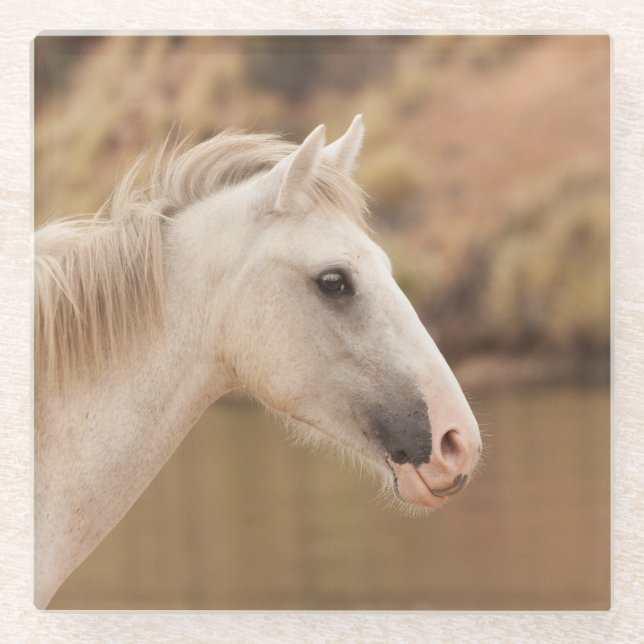 White wild horse glass coaster (Front)