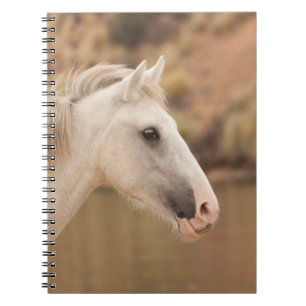 White Wild Horse Spiral Notebook