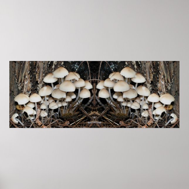 White Wild Mushroom Cluster Mirror Abstract Poster (Front)