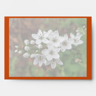 White Wildflower & Bee Fly Envelopes