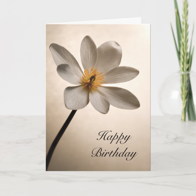 White Wildflower Birthday Card (Front)