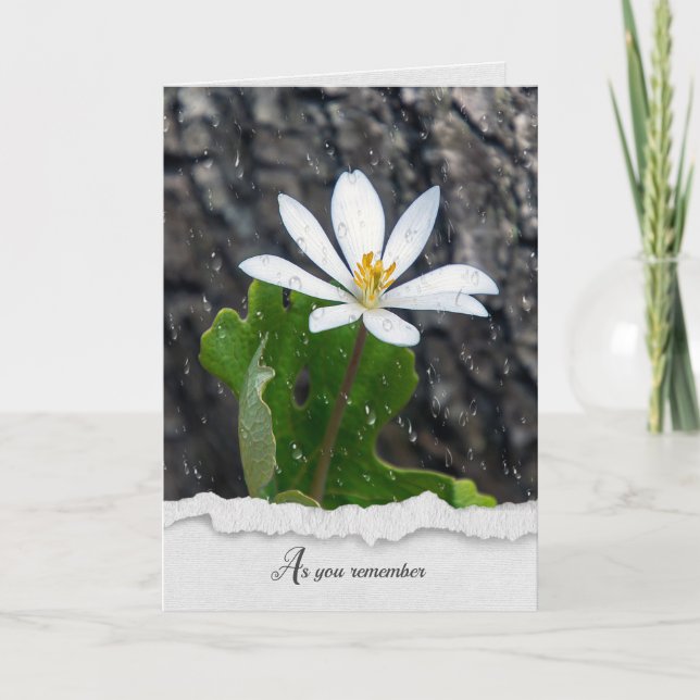 White Wildflower Raindrops sympathy card (Front)