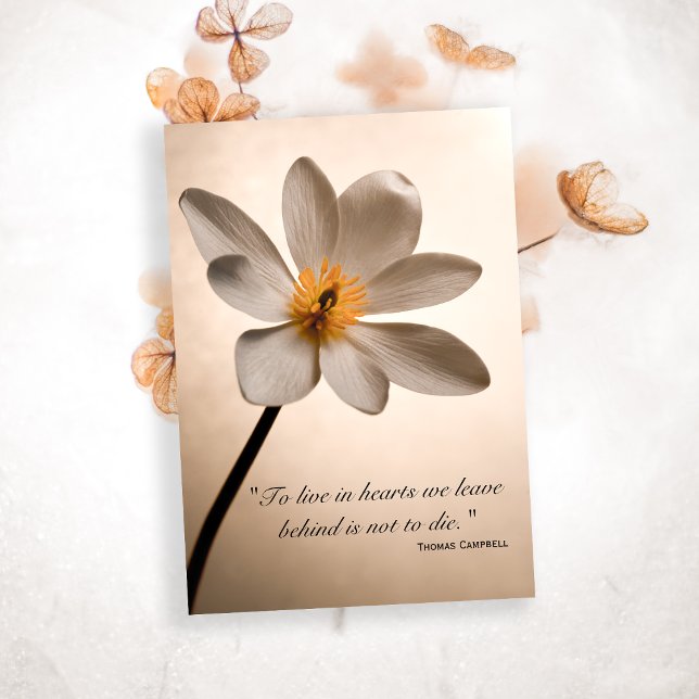 White Wildflower Thank You for Your Sympathy Card (Creator Uploaded)
