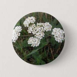 White Wildflowers Button