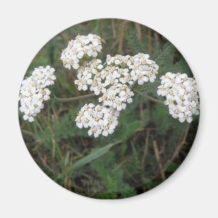 White Wildflowers Magnet