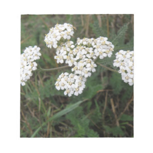 White Wildflowers Notepad