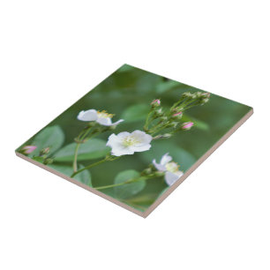 White Wildflowers Tile