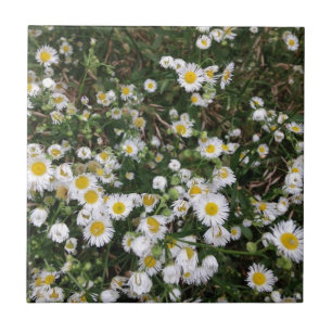 White Wildflowers Tile
