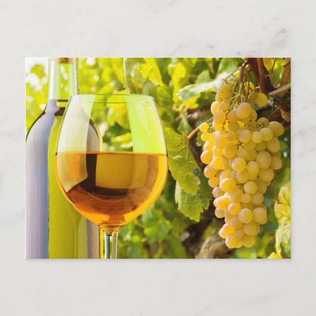 White Wine And Grapes Postcard (Front)