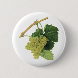 White Wine Grapes on the Vine, Vintage Food Fruit 6 Cm Round Badge