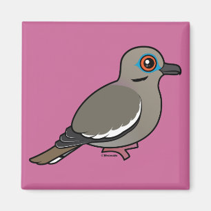 White-winged Dove Magnet