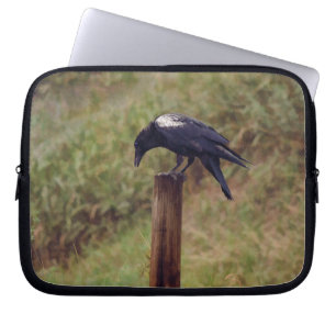 White-Winged Raven and Fence-Post Art Laptop Sleeve