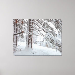 White Winter Canvas Print