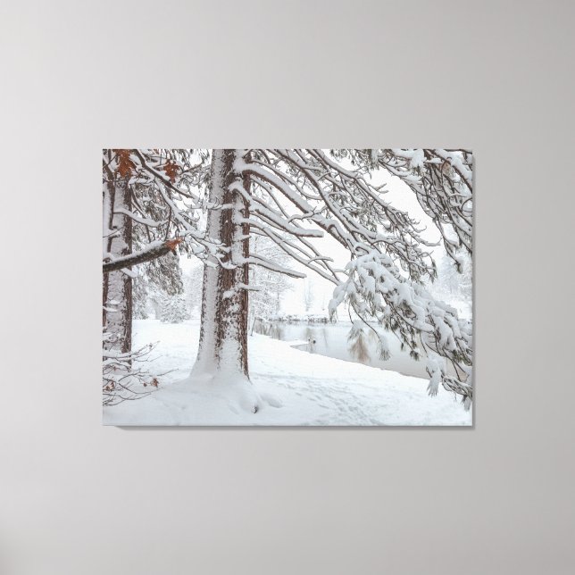 White Winter Canvas Print (Front)