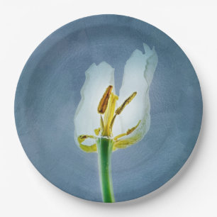 White withering tulip flower paper plate