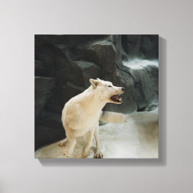 White Wolf Canvas Print (Front)