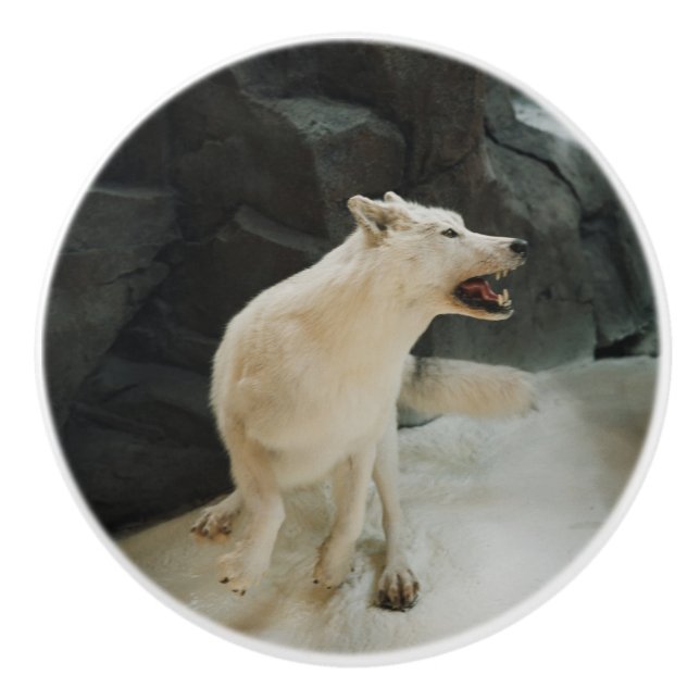 White Wolf Ceramic Knob (Front)