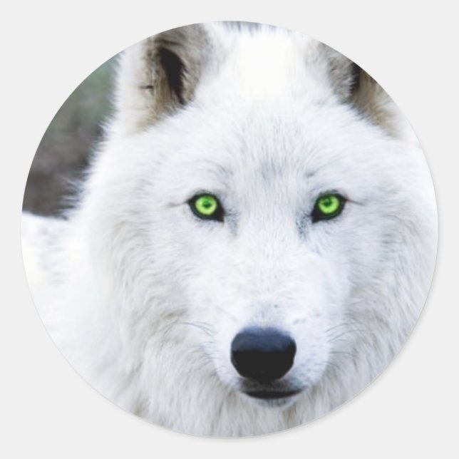 White Wolf Classic Round Sticker (Front)