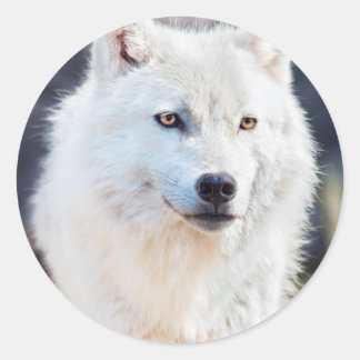 WHITE WOLF CLASSIC ROUND STICKER