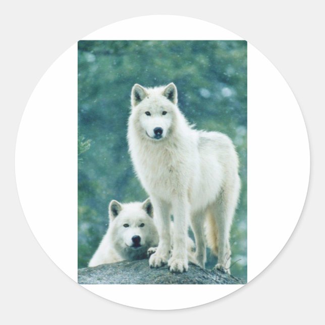 WHITE WOLF CLASSIC ROUND STICKER (Front)