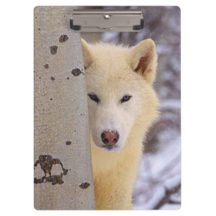 White Wolf Clipboard