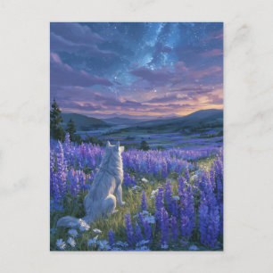 White Wolf in Purple Lupine Meadow Postcard