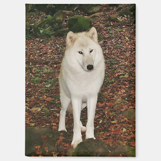 White Wolf Magnet