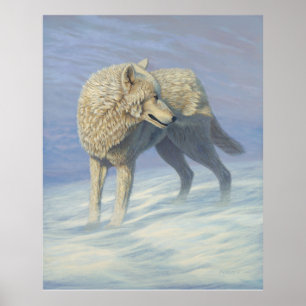 White Wolf Painting - Poster