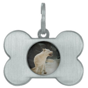 White Wolf Pet Tag