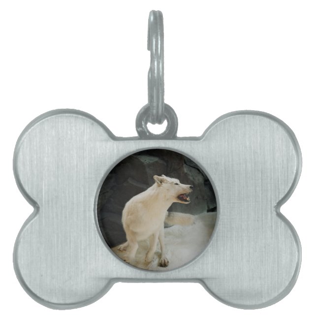 White Wolf Pet Tag (Front)